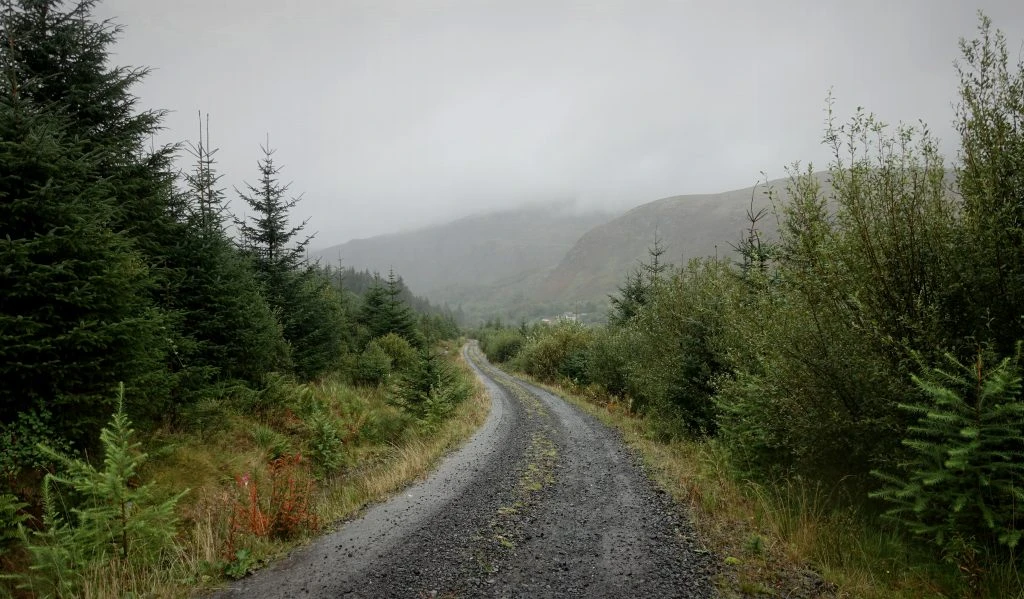 Gravel logging track in Galloway with clouds obscuring the hills beyond